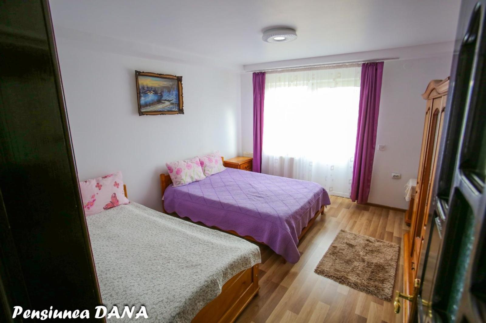 Gasthof Pensiunea Dana Vatra Dornei