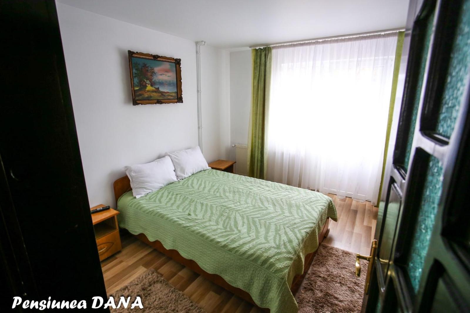 Pensiunea Dana 3* Vatra Dornei
