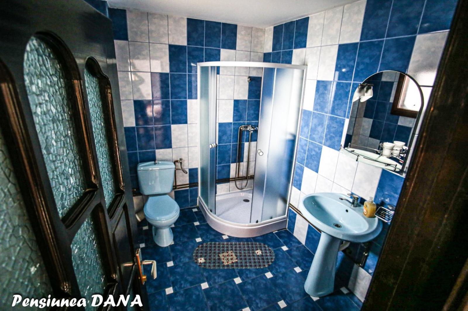 Pensiunea Dana Gasthof Vatra Dornei