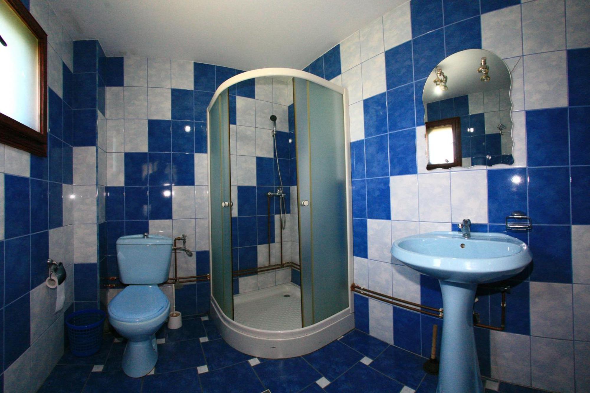 Pensiunea Dana 3*